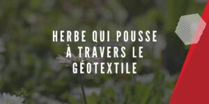 Herbe qui pousse à travers le géotextile